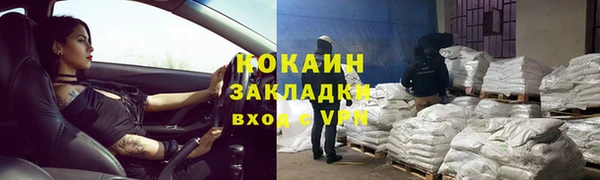 прущие грибы Горнозаводск